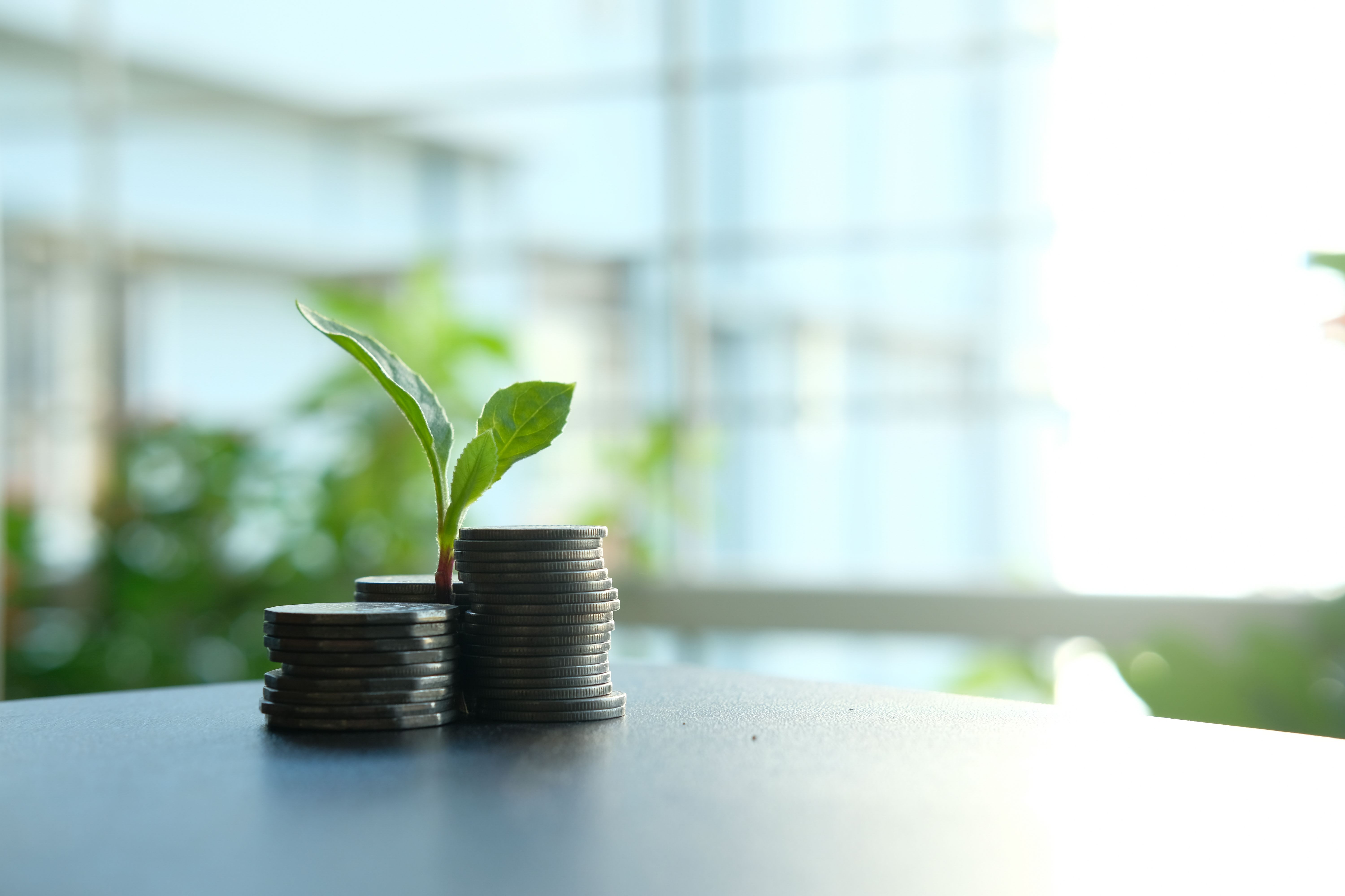 Smart Income Logging Visual